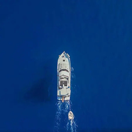 Blue Cruise In - Mavi Yolculuk *