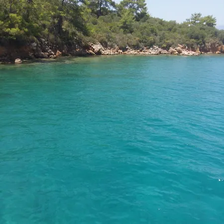 Blue Cruise In - Mavi Yolculuk