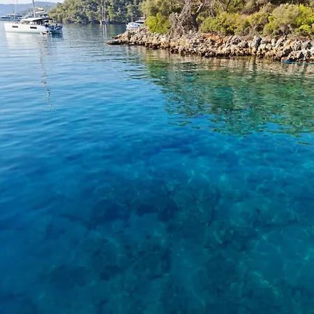 Blue Cruise In - Mavi Yolculuk Bozburun